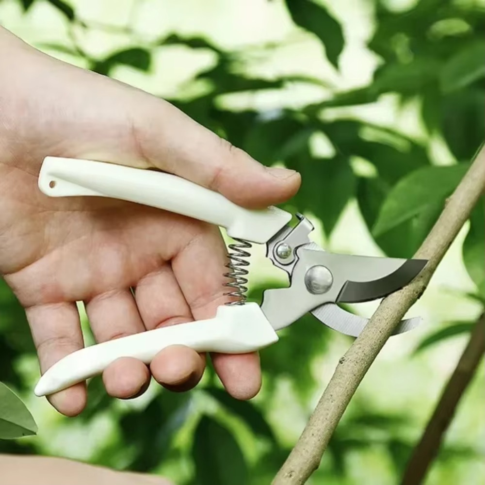 전문가용 가지치기 칼, 정원 가위, 꽃과 과일 나무 가 - Gardening Tools Essential 리뷰 및 가격