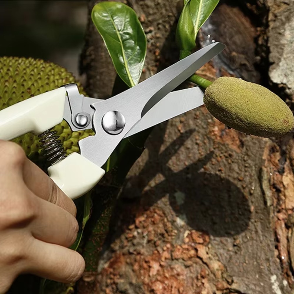 전문가용 가지치기 칼, 정원 가위, 꽃과 과일 나무 가 - Gardening Tools Essential 리뷰 및 가격