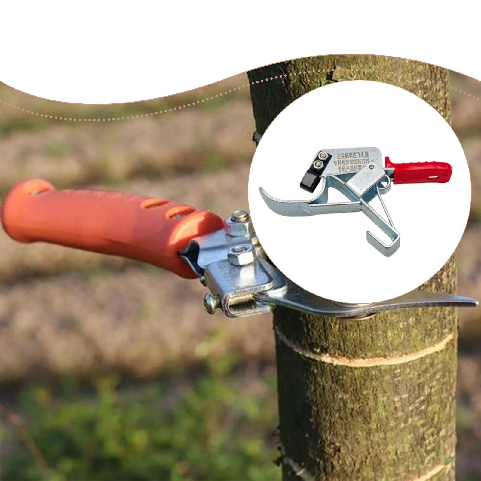 1개 과일나무 벨트 절단기, 정원용 전문 도구, 필수  - Gardening Tools Essential 리뷰 및 가격