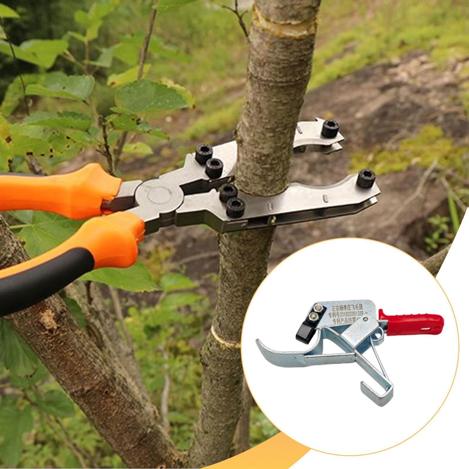 1개 과일나무 벨트 절단기, 정원용 전문 도구, 필수  - Gardening Tools Essential 리뷰 및 가격