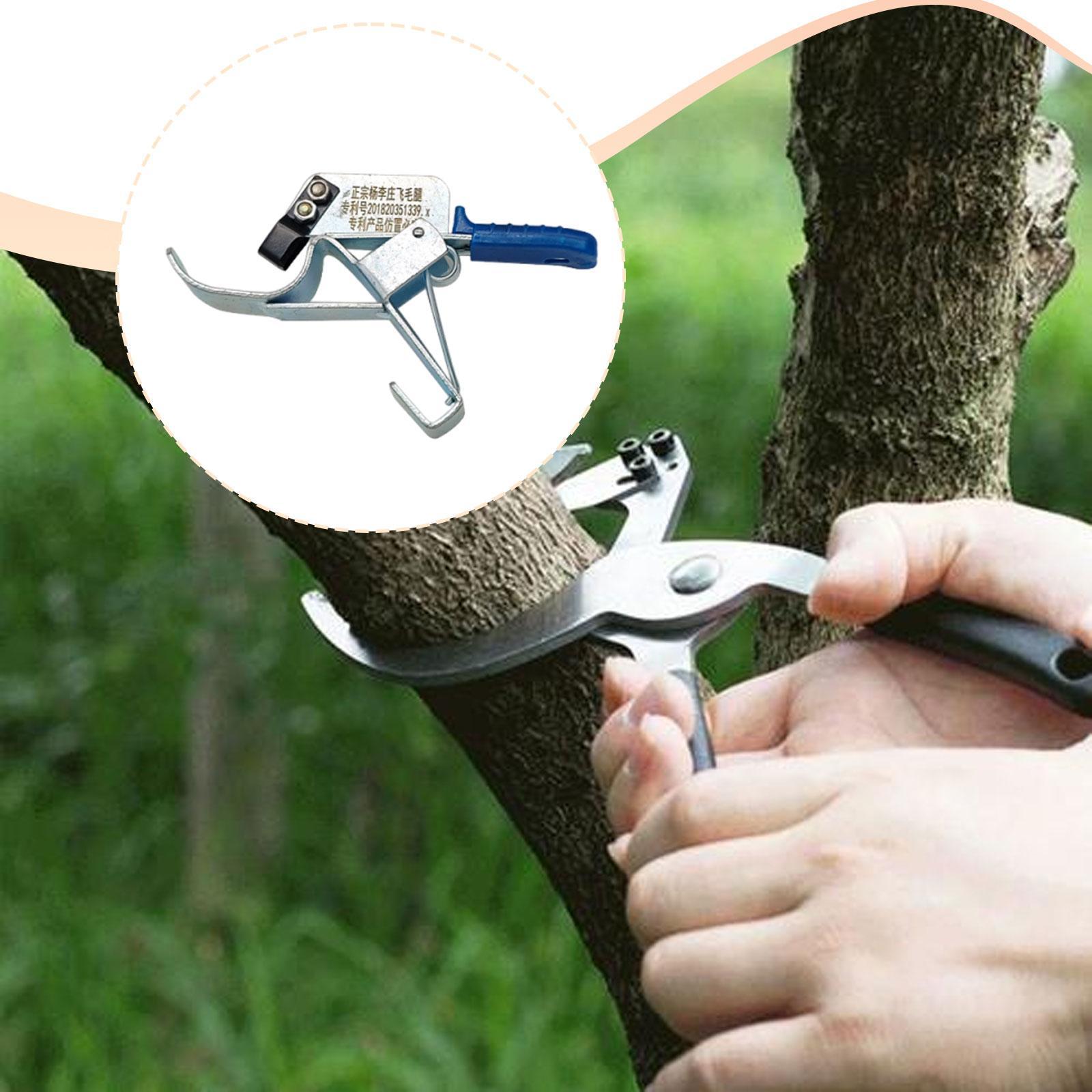 1개 과일나무 벨트 절단기, 정원용 전문 도구, 필수  - Gardening Tools Essential 리뷰 및 가격